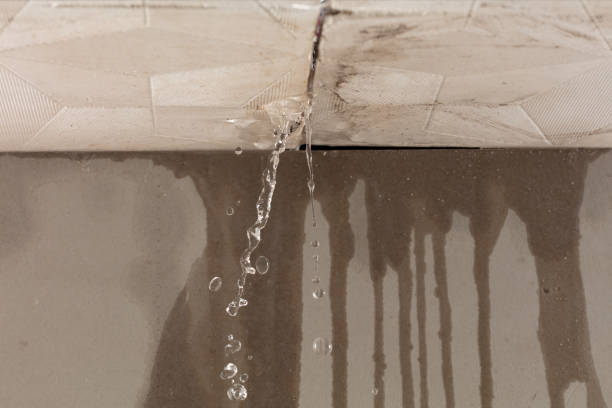 Professional Flood Damage Cleanup technician working in Savoy, TX